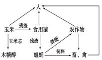 生態(tài)工程加環(huán)設(shè)計(jì) 以玉米芯生產(chǎn)木糖醇為例的效率與價(jià)值分析