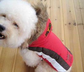 美琪妃寵Feipet 2012秋冬寵物服裝新品解析 價格、廠家與大白寵物風尚