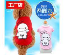 上海市閔行區 探索“大白寵物”現象——從內衣內褲看都市養寵新風尚