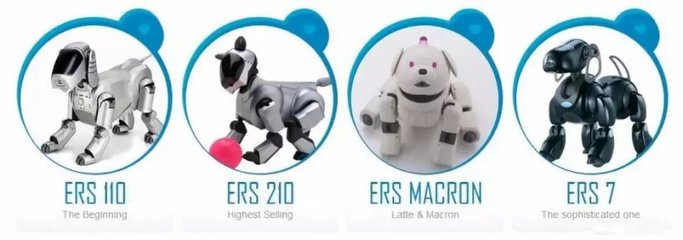 “人不如狗”？當寵物市場超越婚介市場，我們該如何看待情感消費的變遷